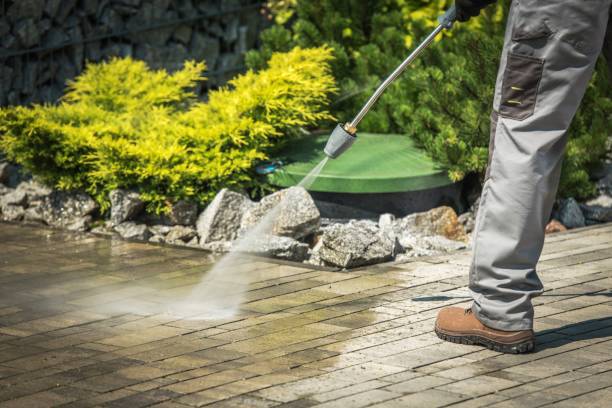 Best Fence Cleaning  in Alamae, NC